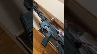 Del Ton Sierra 316L AR15 unboxing ar15 homedefense [upl. by Waring659]