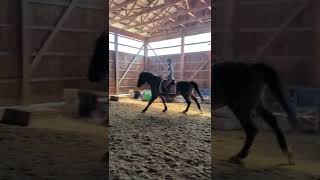 Canter Rhythm Kaylee practicing good rhythm and timing at the canter canteringhorse Ghoda [upl. by Asia]