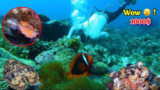 Bắt 1000 con hàu đá mỗi đêm để kiếm 1000 Catch 1000 rock oysters every night to earn 1000 [upl. by Nonad]