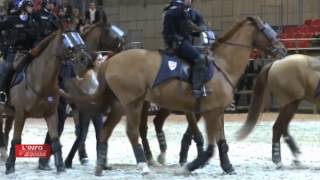 Salon du Cheval 2014  Police à Cheval [upl. by Redneval]