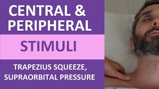 Central and Peripheral Stimuli Trapezius Squeeze Supraorbital Pressure  Nursing Neuro Assessment [upl. by Hindorff]