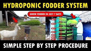 Hydroponic Fodder System  Hydroponic fodder for Cows Goats Buffaloes Sheep Chicken and Pigs [upl. by Attenrev]