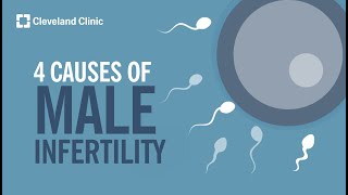 4 Causes of Male Infertility [upl. by Jadwiga570]