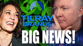 TLRY Stock TILRAY GREAT NEWS AT LAST INVESTING  Martyn Lucas Investor MartynLucasInvestorEXTRA [upl. by Nwahsal]