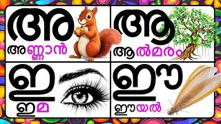 മലയാളം സ്വരാക്ഷരങ്ങൾ a aa e eeMalayalam swaraksharangalMalayalam vowels [upl. by Arbrab289]