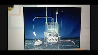 Experiment no 12  effect of spasmogen and relaxants on rabbits intestine [upl. by Avat]