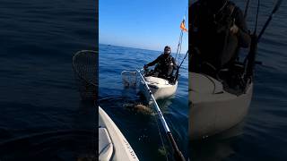 Big cabezon fishing by simpson reef on the Oregon coast [upl. by Wise]