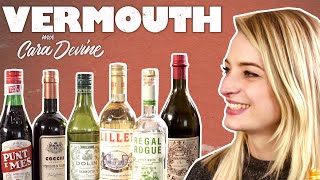 I meet an Expert  Vermouth amp fortifiedaromatised wines explained [upl. by Socram]