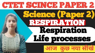 Respiration 🫁 Life processes Life of phases of respiration count respirations By neha saini [upl. by Sabah415]