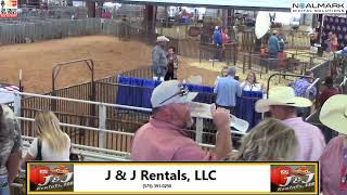 2024 Lea County Sale of Champions [upl. by Dewie601]