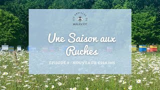 Une Saison Aux Ruches Episode 8 🐝 [upl. by Ezalb]