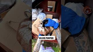 Employees tried breaking everything dumpsterdiving short shorts free usa [upl. by Armanda540]