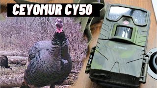 Trail  Game Camera Review  Ceyomur CY50 [upl. by Airak]