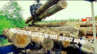 Tree Service Wood VS Processor Logs Thoughts amp Bundling Wood [upl. by Habas398]