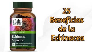 Echinacea 25 Beneficios para la Salud [upl. by Gaeta]