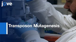 Generation Enterobacter sp YSU Auxotrophs Using Transposon Mutagenesis l Protocol Preview [upl. by Jahdiel190]