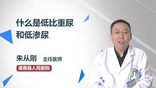 什么是低比重尿和低渗尿 朱从刚 灌南县人民医院 [upl. by Assiron]