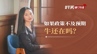 如果政策不及预期，牛还在吗？ [upl. by Irbua]