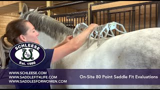 Schleese OnSite 80 Point Saddle Fit Evaluation [upl. by Philbin]