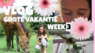 VLOG grote vakantie week 3 [upl. by Animehliw]