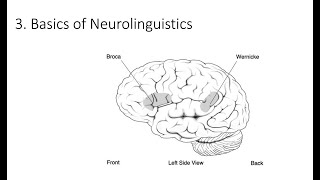 63 Basics of Neurolinguistics Fundamentals of Cognitive Neuroscience Course Session 6 Part 3 [upl. by Bald129]