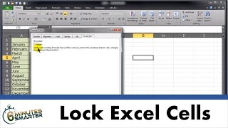 Lock Cells and Protect Sheets in Excel [upl. by Yramesor986]