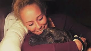 What Caused 2 Pit Bulls to Kill Their Owner [upl. by Anasxor]