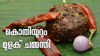 ചോറിനൊപ്പം കൊതിയൂറും മുളക് ചമ്മന്തി  Mulaku Chammanthi  Chippys Kitchen amp Vlogs  Ep57 [upl. by Yerkovich231]