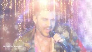 Adam Lambert Video Advent Calendar Day 19 Lay  Me Down  Shady  Fever [upl. by Aneelas]