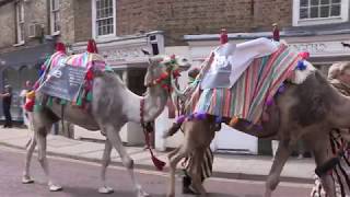 Highlights from Chatteris Midsummer Festival 2017 [upl. by Nibur]