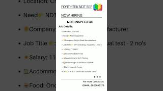 NDT INSPECTOR [upl. by Akcirred]