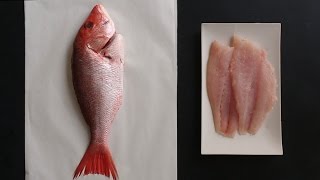 How to Fillet a Whole Fish Like a Pro  Kitchen Conundrums with Thomas Joseph [upl. by Einattirb]