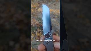 Should every collection have a full serrated knife in it Let me know below Utility in the Edge [upl. by Alletse]