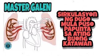 Sirkulasyon ng ating dugo mula puso papunta sa ating buong katawanBlood circulationheart function [upl. by Reppep936]