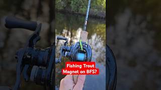 Fishing Trout Magnet on BFS Catches BIG Trout fishing [upl. by Naor]