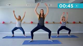 Barreless Barre  11minute workout [upl. by Oemor538]