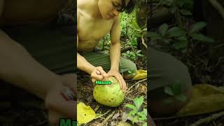 Survival Tipps  Frische Kokosnuss nur mit einem kleinen Messer öffnen  Jungle Boy jungleboy [upl. by Inge]