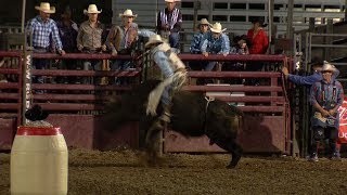 Hamel Rodeo Preview [upl. by Ailhad]