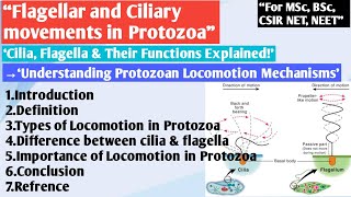 Flagellar and Ciliary movements in Protozoa  Locomotion in Protozoa  Movement in Protozoa [upl. by Atirabrab309]