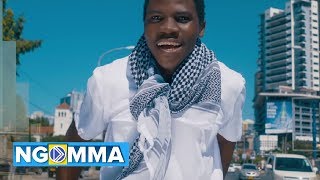 Maarifa Ft Dogo Janja  Acha Iwe Official Video [upl. by Dnumyar414]