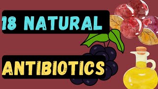 18 POWERFUL Natural Antibiotics You Need to Know About [upl. by Assele]