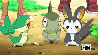 Emolga and Snivy are still mad at each other Pokémon Black amp White [upl. by Japha]