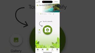 PlantNet app  how to use [upl. by Ashla]