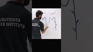 How to draw Nephron step by step shorts viral education [upl. by Schechinger830]