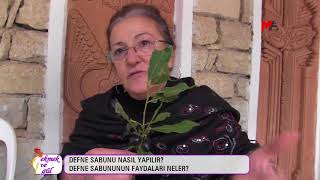 Defne sabunu nasıl yapılır faydaları nelerdir [upl. by Harlene]