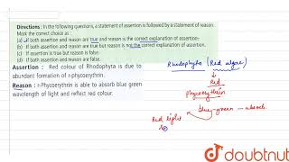 Assertion Red colour of rhodophyta is due to abundant formation of rphycoerythrin [upl. by Hatcher325]