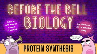 Protein Synthesis Before the Bell Biology [upl. by Leahcimnhoj264]