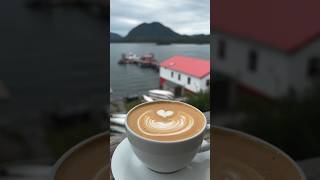 🐋⛰️ 10 Things You MUST Do When visiting Tofino tofino vancouverisland [upl. by Lubbock272]