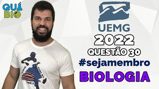 UEMG 2022  Questão 30  A figura a seguir representa o modelo do mosaico fluído da membrana plasmát [upl. by Amarillas994]