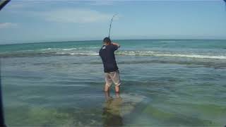 Perth Yanchep Lagoon tailor  Fishing WA Series 3 Ep 8 Part 1 [upl. by Marta]